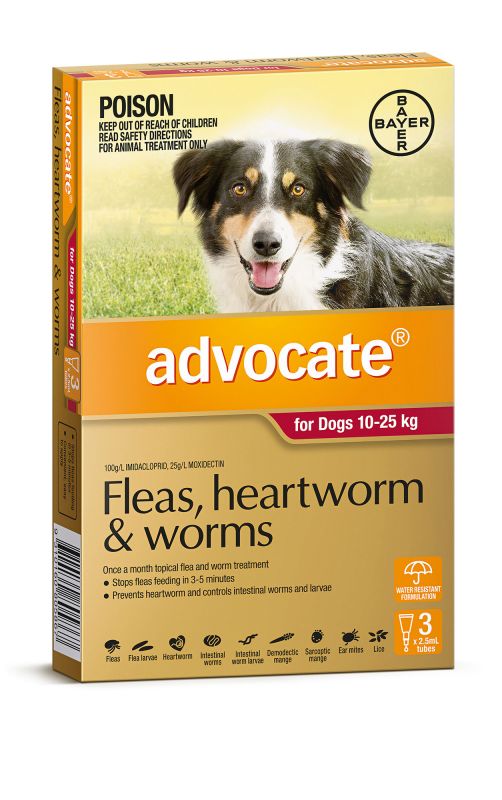 ADVOCATE DOG 10-25KG RED 3'S