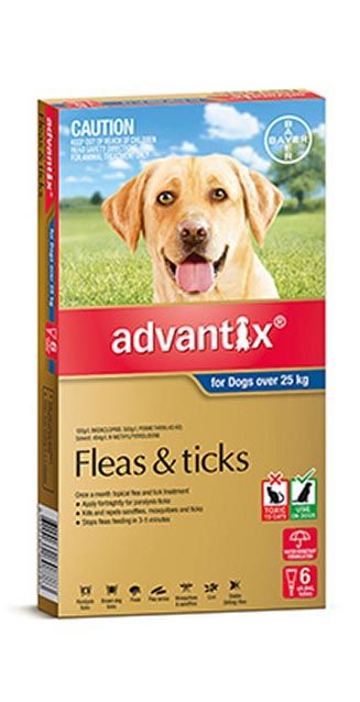 ADVANTIX DOG 25KG+ BLUE 6'S