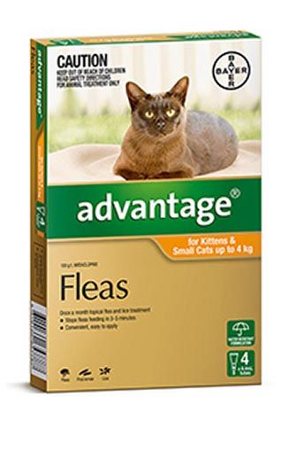 ADVANTAGE CAT 0-4KG ORANGE 4'S