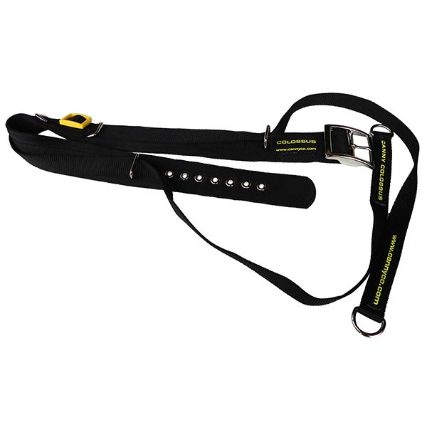 Canny collar hot sale colossus