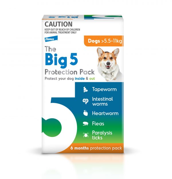 BIG 5 6MTH PROTECT PK MEDIUM DOG