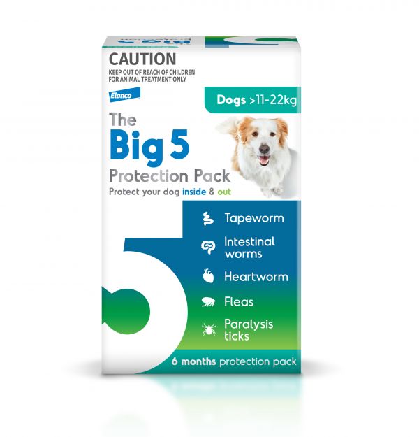 BIG 5 6MTH PROTECT PK LGE DOG