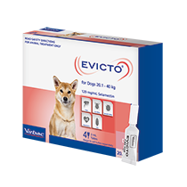 EVICTO DOG LARGE 20-40KG 4'S