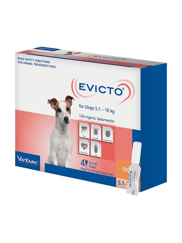 EVICTO DOG SMALL 5-10KG 4'S
