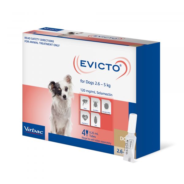 EVICTO DOG VERY SM 2.6-5KG 4'S