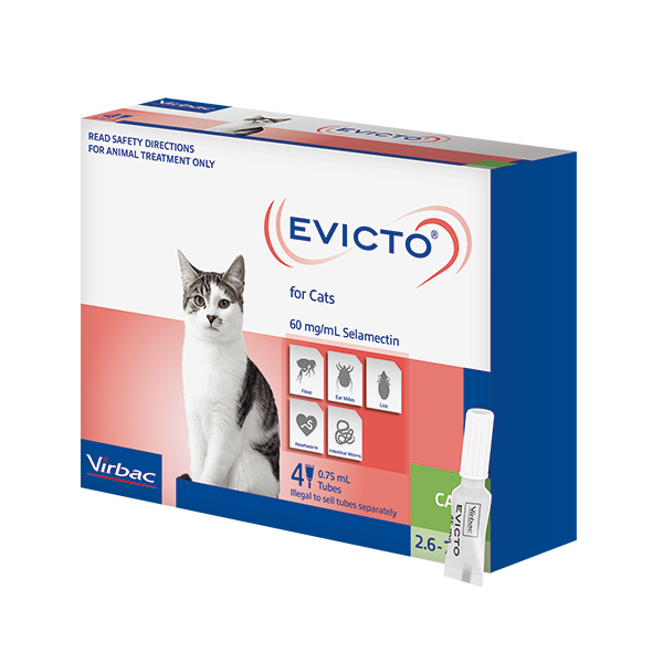 EVICTO CAT 2.6-7.5KG 4'S