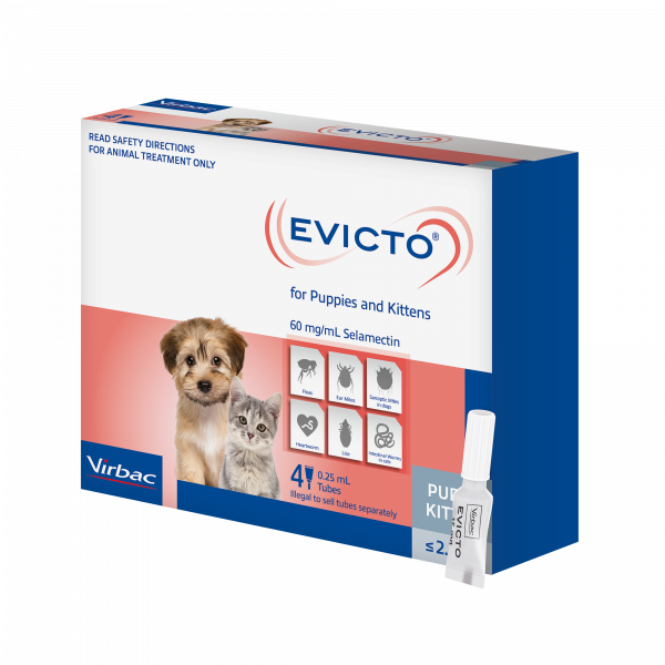 EVICTO PUPPY/KITTENS 2.5KG 4'S