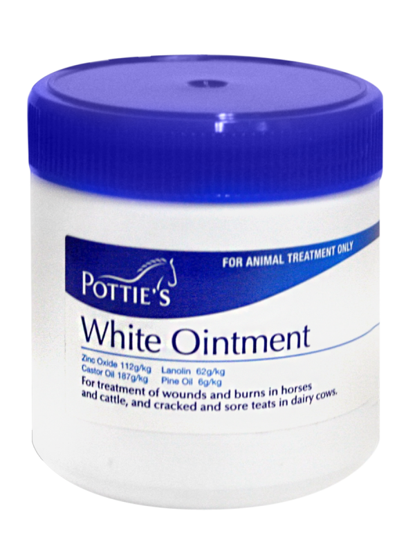 POTTIES WHITE OINTMENT 350G