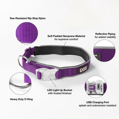 DGS LED COLLAR SMALL PURPLE