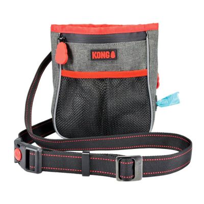 KONG WALKING BAG